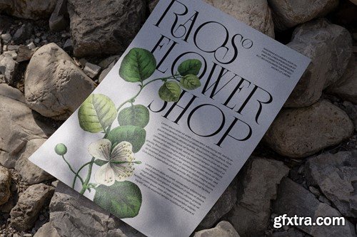 The Rogksy Modern Serif Font DWWX27B The Rogksy Modern Serif Font DWWX27B