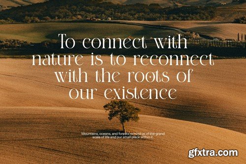 Gotham Elegant Serif Font 6Z5M3BC Gotham Elegant Serif Font 6Z5M3BC