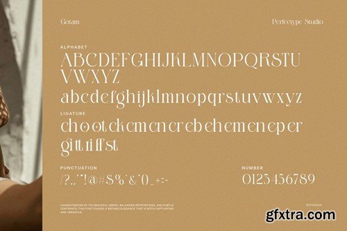 Gotham Elegant Serif Font 6Z5M3BC Gotham Elegant Serif Font 6Z5M3BC