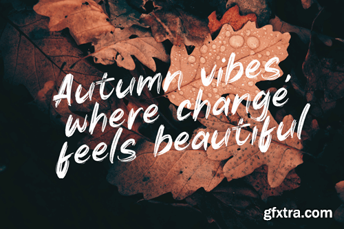 Autumn Brush Font 9STCWKL Autumn Brush Font 9STCWKL
