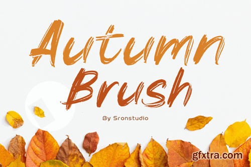 Autumn Brush Font 9STCWKL Autumn Brush Font 9STCWKL