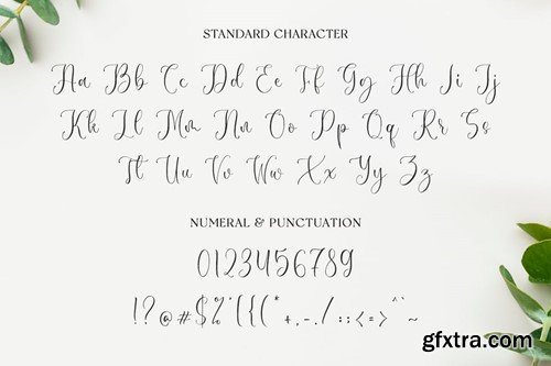 Sophina - Wedding Font QX9RT57 Sophina - Wedding Font QX9RT57