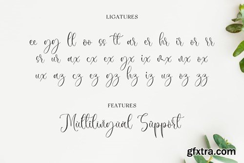 Sophina - Wedding Font QX9RT57 Sophina - Wedding Font QX9RT57