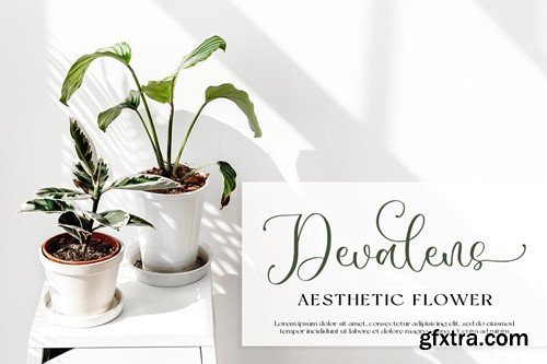 Sophina - Wedding Font QX9RT57 Sophina - Wedding Font QX9RT57