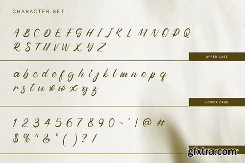 Magnolia Script Font JMUL5FW Magnolia Script Font JMUL5FW