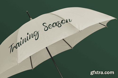 Magnolia Script Font JMUL5FW Magnolia Script Font JMUL5FW