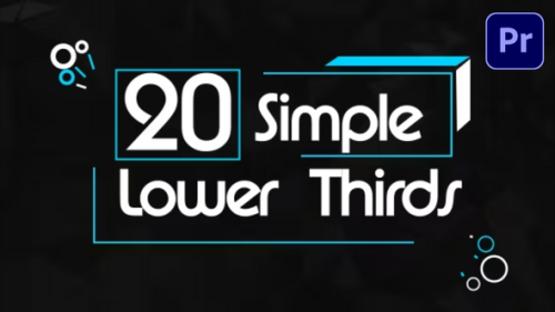 20 Simple Lower Thirds - 54020266