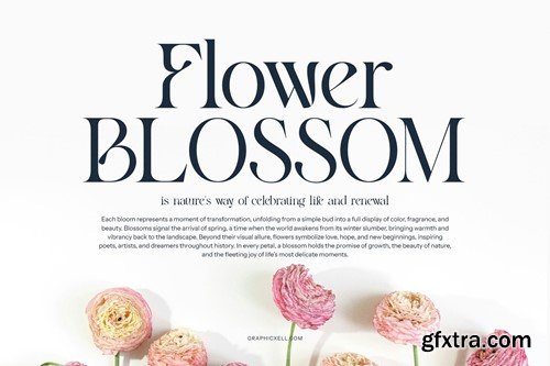 Amerga Modern Serif Font CFKELRE Amerga Modern Serif Font CFKELRE