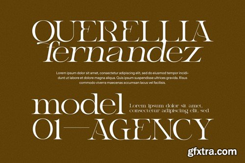 Balme Unique Serif Font XHX4WHM Balme Unique Serif Font XHX4WHM