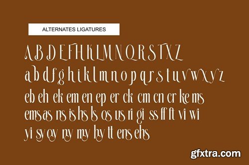 Bikems Modern Serif Font 8XJH8SE Bikems Modern Serif Font 8XJH8SE