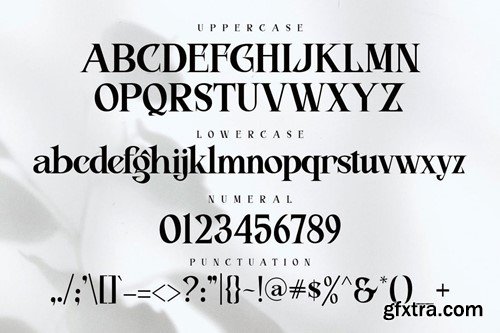 Fitasha - Elegant Typeface Font 6XR9WWP Fitasha - Elegant Typeface Font 6XR9WWP