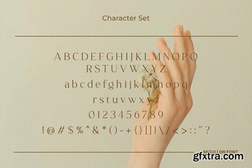 Migullon - Modern & Elegant Serif Font ZCY3VFF Migullon - Modern & Elegant Serif Font ZCY3VFF