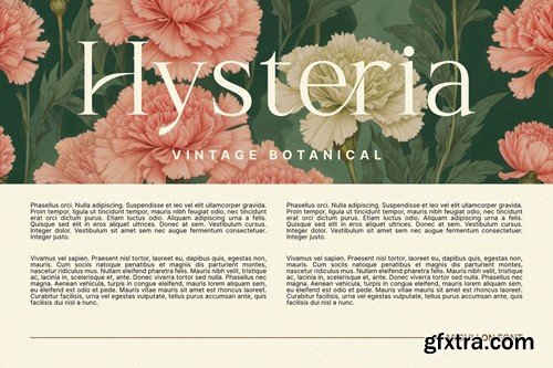 Migullon - Modern & Elegant Serif Font ZCY3VFF Migullon - Modern & Elegant Serif Font ZCY3VFF