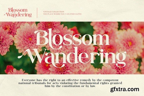 Galmine - Modern & Elegant Serif Font PHMYWKM Galmine - Modern & Elegant Serif Font PHMYWKM