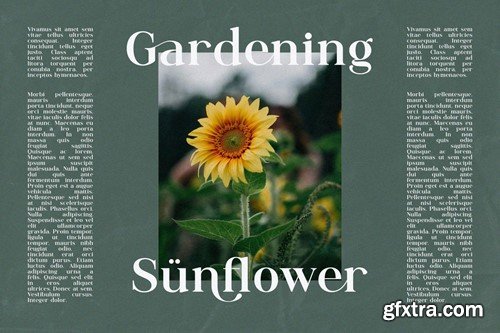 Galmine - Modern & Elegant Serif Font PHMYWKM Galmine - Modern & Elegant Serif Font PHMYWKM