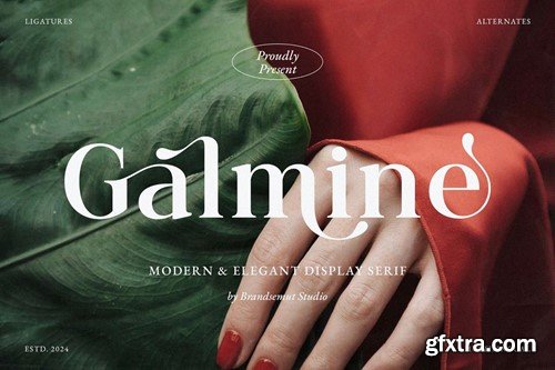 Galmine - Modern & Elegant Serif Font PHMYWKM Galmine - Modern & Elegant Serif Font PHMYWKM
