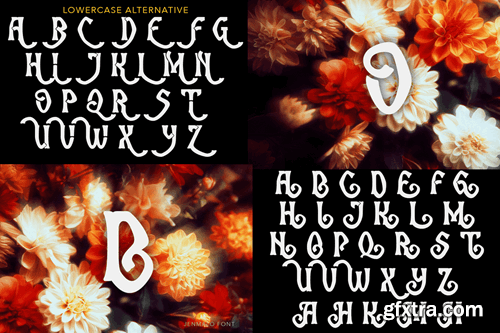 Jenmalo Display Font BZCXLDD Jenmalo Display Font BZCXLDD