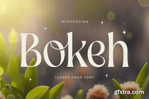 Bokeh - Luxury Logo Font 98MNPRR Bokeh - Luxury Logo Font 98MNPRR