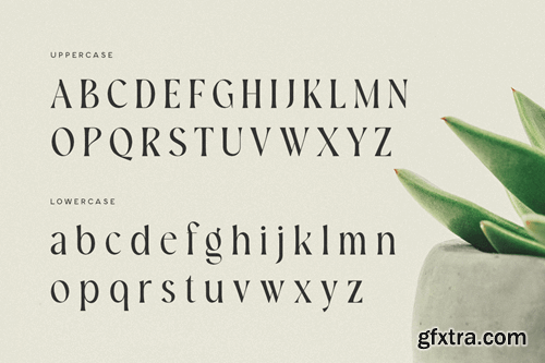 Bokeh - Luxury Logo Font 98MNPRR Bokeh - Luxury Logo Font 98MNPRR