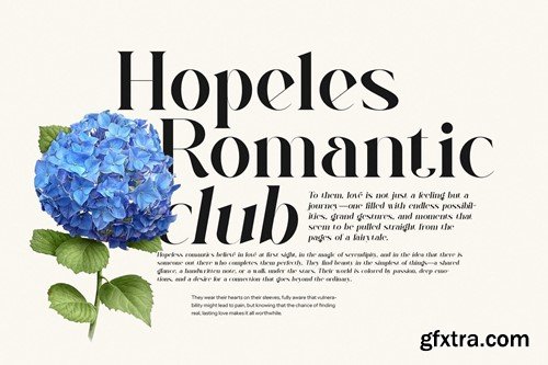 Ragifa - Elegant Serif Font DQNT8NR Ragifa - Elegant Serif Font DQNT8NR