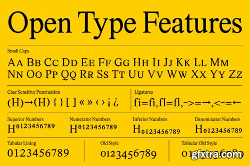 Marjorie Serif + Italic Font Family 72EBRZY Marjorie Serif + Italic Font Family 72EBRZY