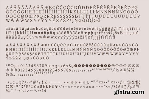 Marjorie Serif + Italic Font Family 72EBRZY Marjorie Serif + Italic Font Family 72EBRZY