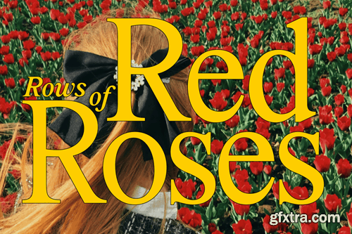 Marjorie Serif + Italic Font Family 72EBRZY Marjorie Serif + Italic Font Family 72EBRZY