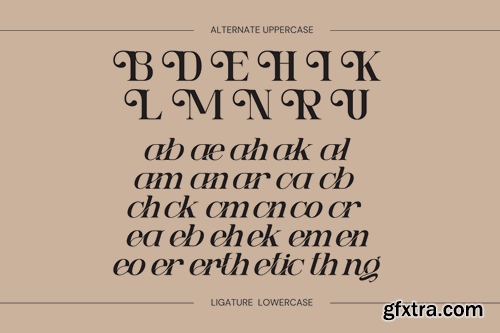 Ngetic Modern - Branding Logo Font HDWELM6 Ngetic Modern - Branding Logo Font HDWELM6