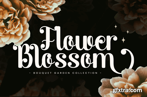 Mikhayla - Wedding Font QJQP54Q Mikhayla - Wedding Font QJQP54Q