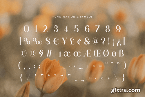 Quaglia - Branding Luxury Font GDESFJH Quaglia - Branding Luxury Font GDESFJH