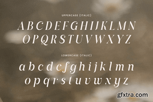 Quaglia - Branding Luxury Font GDESFJH Quaglia - Branding Luxury Font GDESFJH