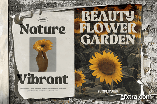 Ranking - Retro Vintage Logo Font 2YHJ3KN Ranking - Retro Vintage Logo Font 2YHJ3KN