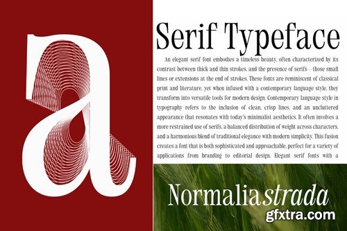 Normalia Strada - Elegant Serif Font UKC7RMT Normalia Strada - Elegant Serif Font UKC7RMT