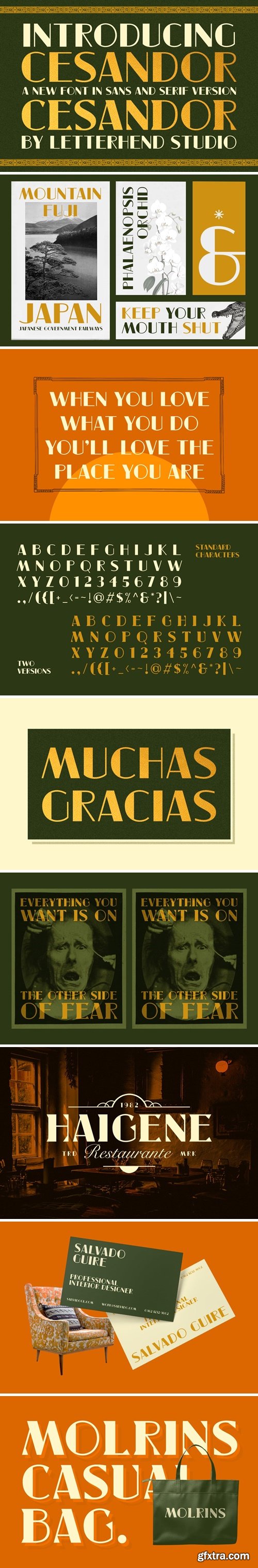 CM - Cesandor Sans &amp; Serif 287224973