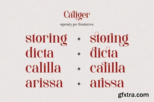 Caliger Beautiful Serif Font LR6RMCF Caliger Beautiful Serif Font LR6RMCF