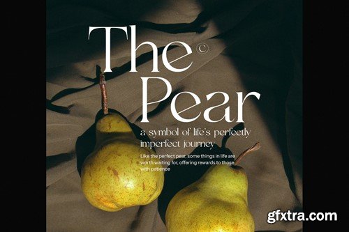 Fagon Modern Serif Font GFDRR2N Fagon Modern Serif Font GFDRR2N