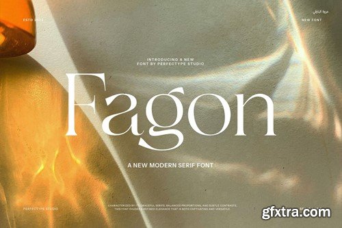 Fagon Modern Serif Font GFDRR2N Fagon Modern Serif Font GFDRR2N