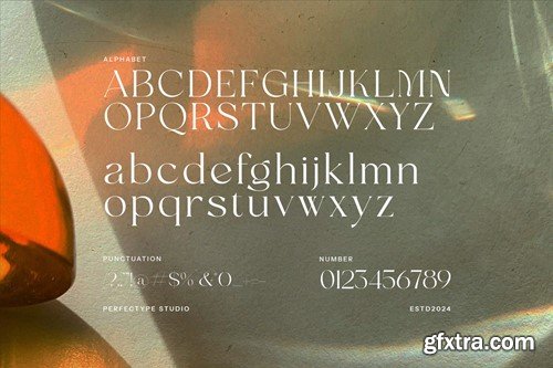 Fagon Modern Serif Font GFDRR2N Fagon Modern Serif Font GFDRR2N