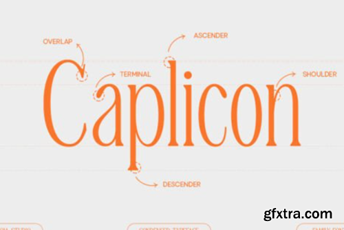 Malta Font Malta Font