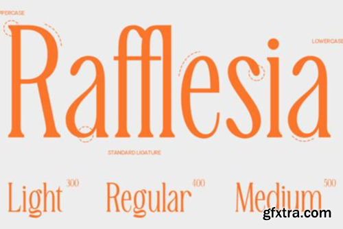 Malta Font Malta Font