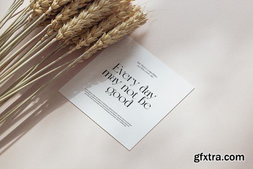 Buffon - Elegant Serif Font ECETGA7 Buffon - Elegant Serif Font ECETGA7