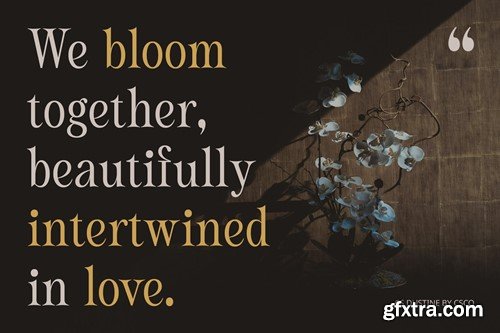 Dustine – Elegant Font SFD5JQ3 Dustine – Elegant Font SFD5JQ3