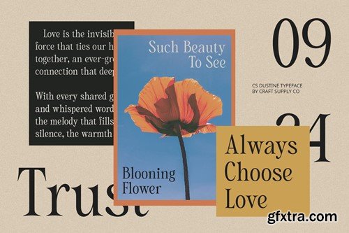 Dustine – Elegant Font SFD5JQ3 Dustine – Elegant Font SFD5JQ3