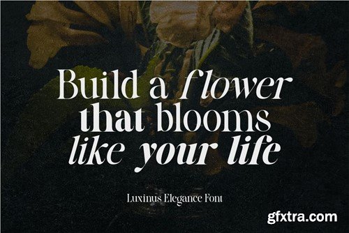 Luxinus Elegance Serif Family With Italic Font YPPBGU5 Luxinus Elegance Serif Family With Italic Font YPPBGU5