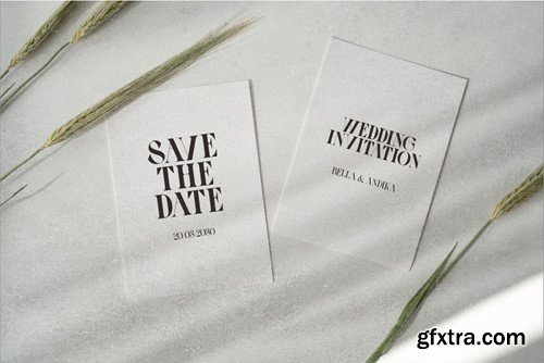 Luxinus Elegance Serif Family With Italic Font YPPBGU5 Luxinus Elegance Serif Family With Italic Font YPPBGU5