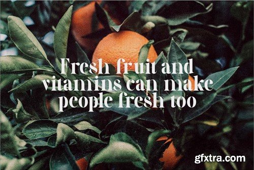 Luxinus Elegance Serif Family With Italic Font YPPBGU5 Luxinus Elegance Serif Family With Italic Font YPPBGU5