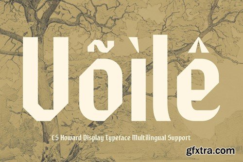 Howard – Gothic Font Y9VMT2C Howard – Gothic Font Y9VMT2C