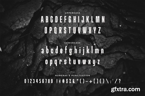 Panigale - Condensed Font 2QBNERY Panigale - Condensed Font 2QBNERY