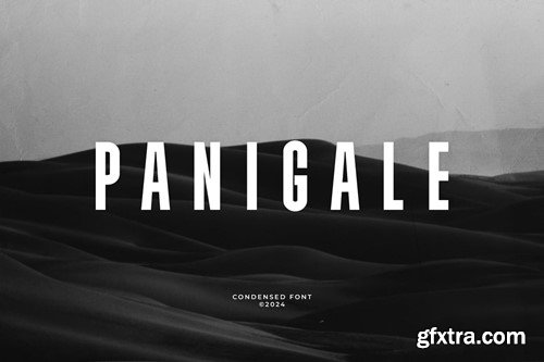 Panigale - Condensed Font 2QBNERY Panigale - Condensed Font 2QBNERY