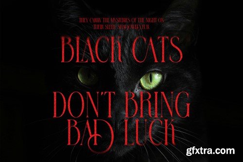 Rottesa Growing Ligature Serif Font 26EEJ6L Rottesa Growing Ligature Serif Font 26EEJ6L